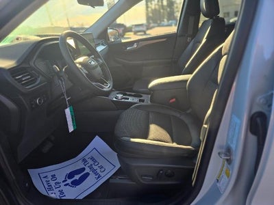 2026 Ford Escape Plug-In Hybrid Plug-in Hybrid