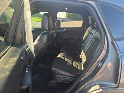 2024 Ford Escape Hybrid ST-Line Elite