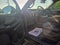 2026 Ford Expedition Tremor®