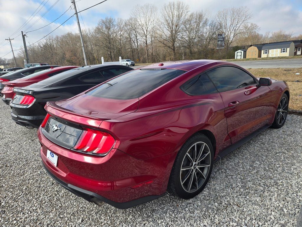 2019 Ford Mustang EcoBoost