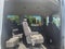 2024 Ford Transit-350 XLT High Roof