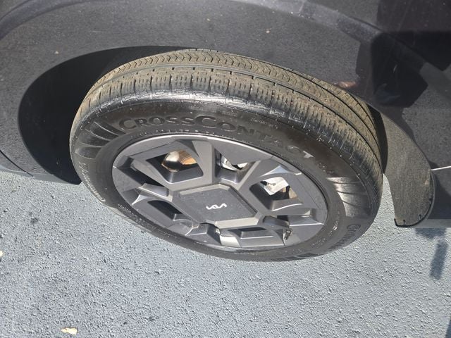 2025 Kia Carnival Hybrid SX